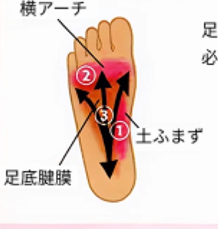 コアフォースクリームⅡ【2本で送料無料】 コアフォース公式オンライン