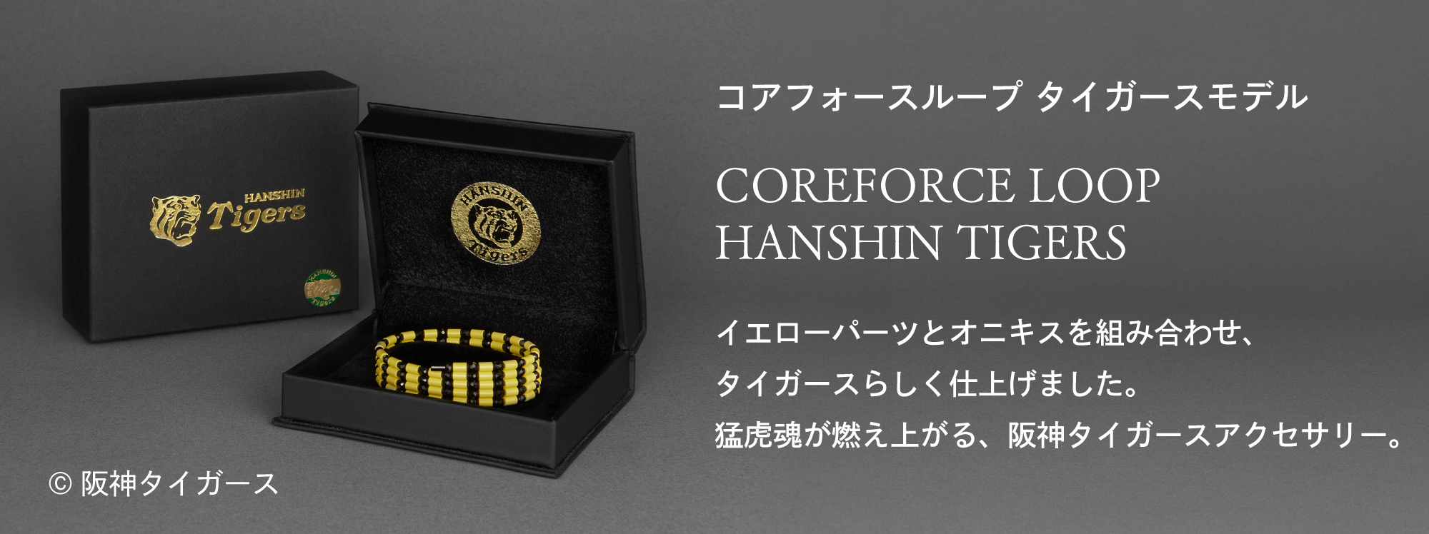 コアフォース公式オンラインショップ｜体幹・バランスを整えるスポーツ